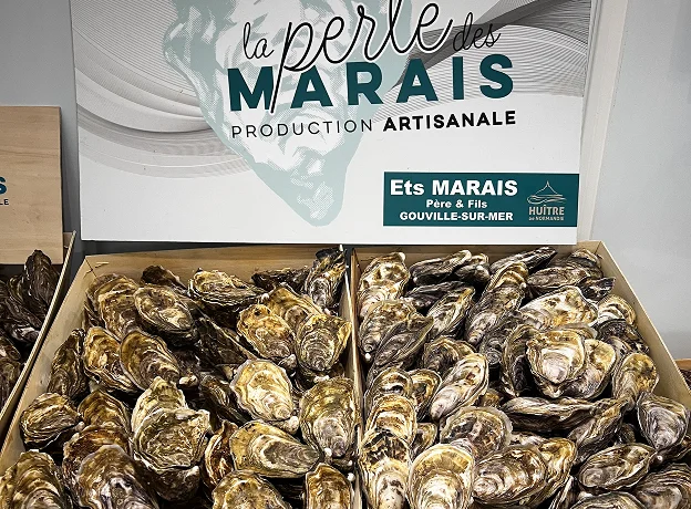 araignée de mer crabe et homard à Luisant près de Chartres en Eure-et-Loir 28