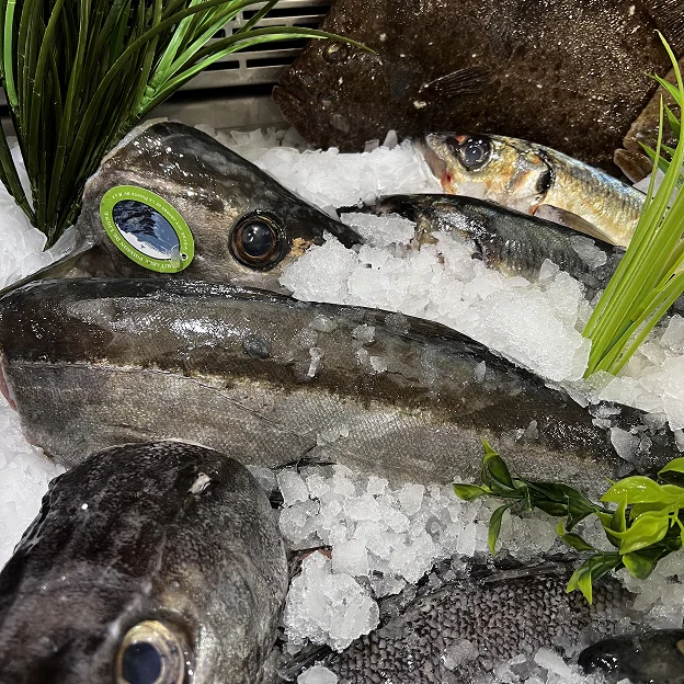 vente de poissons frais à Luisant près de Chartres en Eure-et-Loir 28