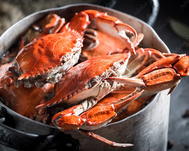 crabes cuits à Luisant près de Chartres en Eure-et-Loir 28