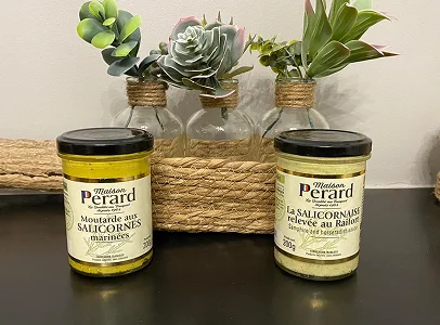 maison perard à Luisant près de Chartres en Eure-et-Loir 28